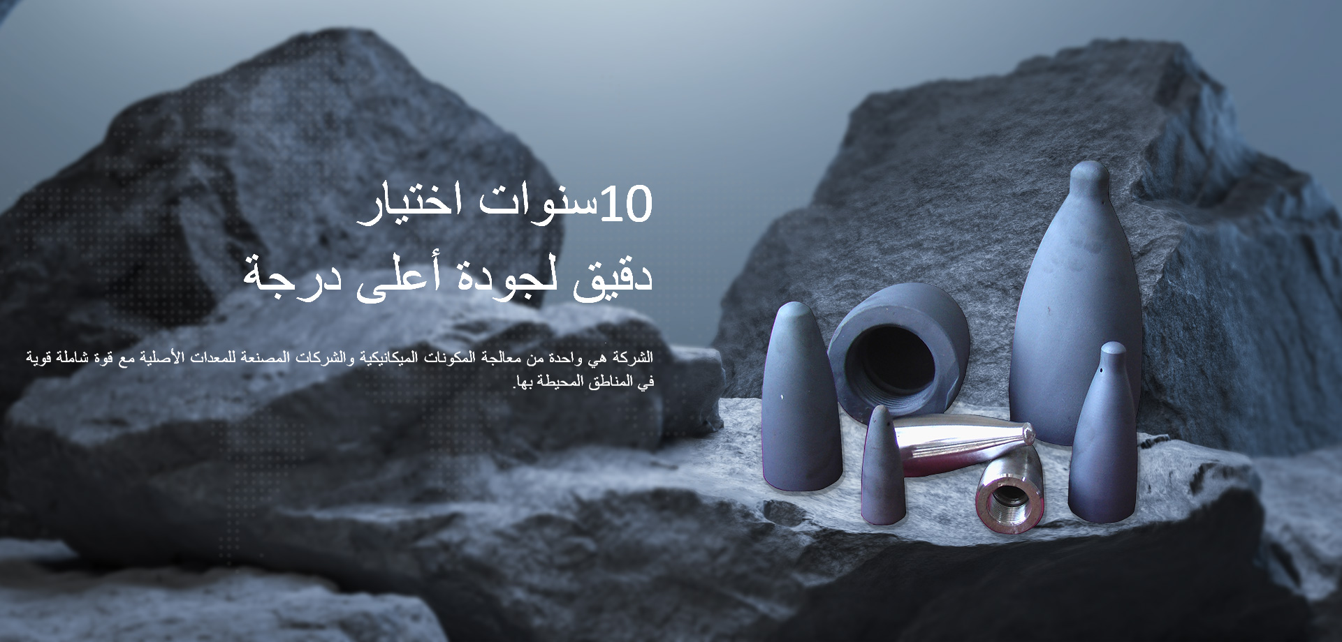 Jiangsu Weiyang Heavy Industry Technology Co., Ltd.